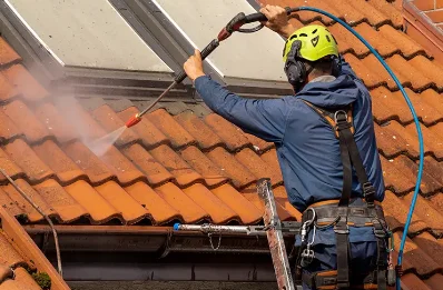 Démoussage et hydrofuge de toiture à Tenay